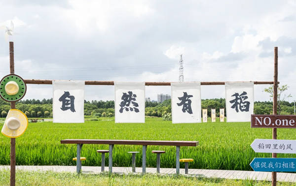 秋日有約，在最美永旺遇“稻”你