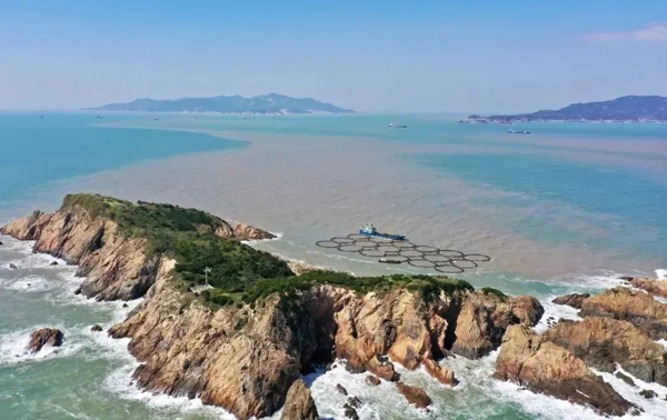 省級名單公布！洞頭“黃魚島”入選優(yōu)質農產品生產基地